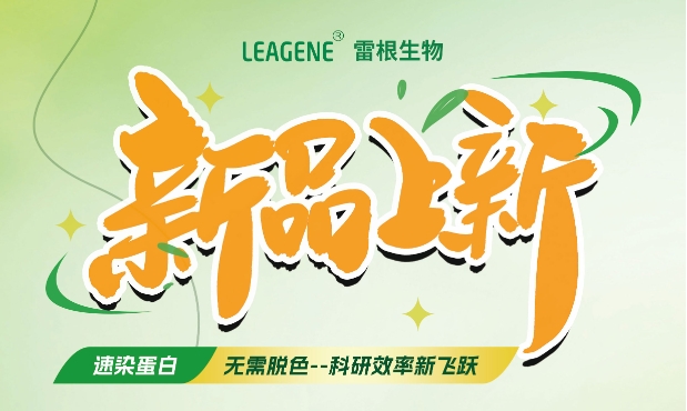 最新力作【考馬斯亮藍(lán)快速染色液（免脫色版）】，正式加入我們的產(chǎn)品家族！